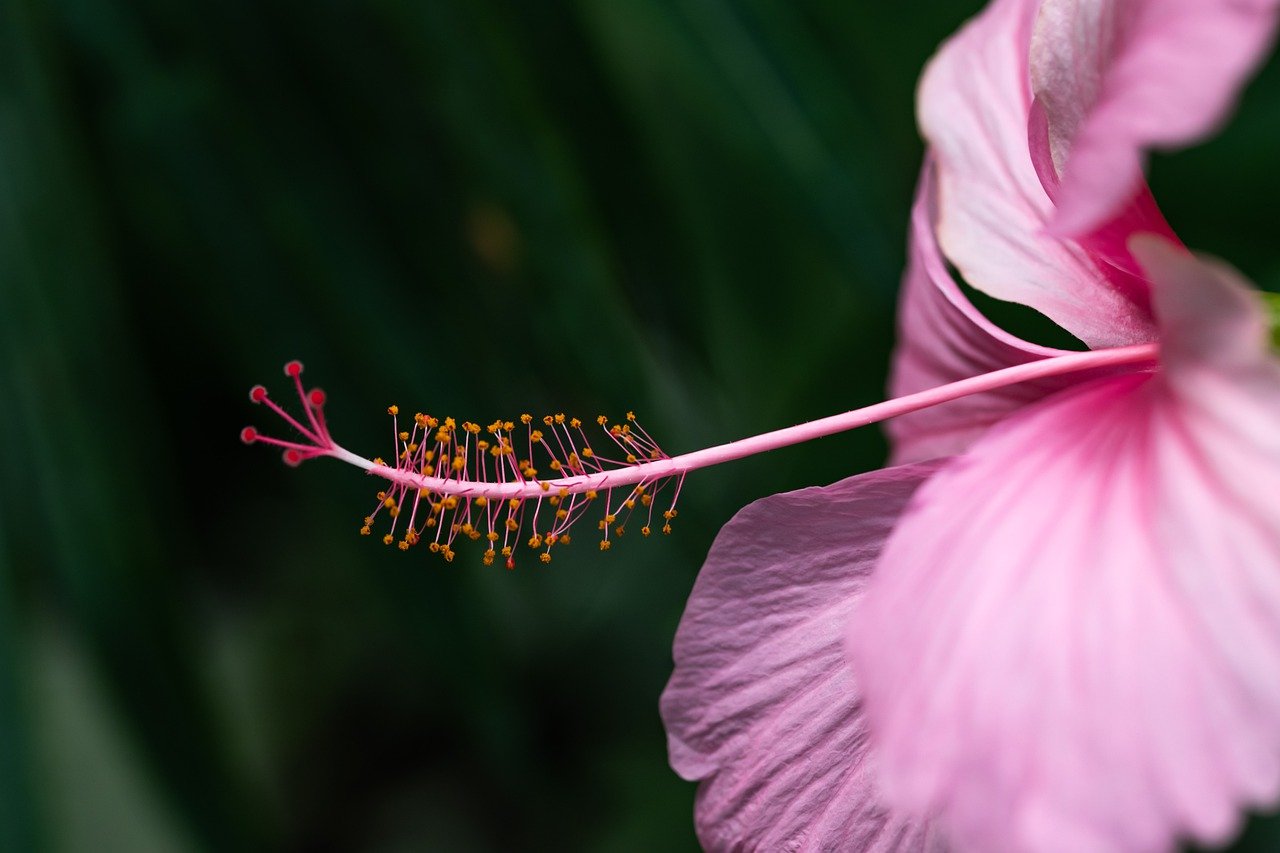 How to Create a Tranquil Meditation Space in Your Backyard